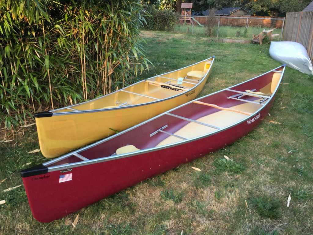 touring kayak paddles oak orchard eddyline accent cannon