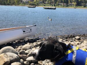 Aggie McClellan with Wenonah Voyager Canoe on Willamette River Oregon