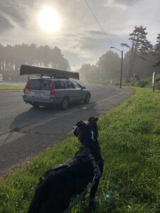 Paddle People Canoe Delivery Experience Oregon Coast