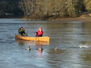 Wenonah Champlain Aramid Canoe Clackamas River Oregon